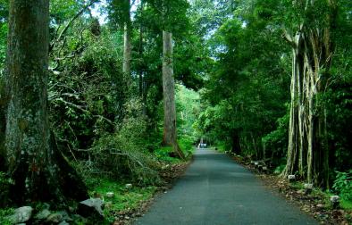 Gavi (Malayalam: à´—à´µà´¿)