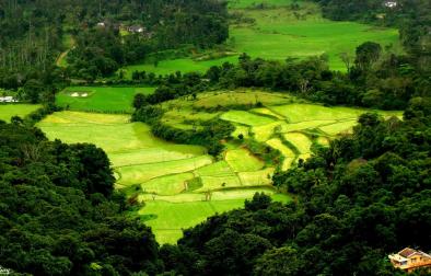 Coorg 