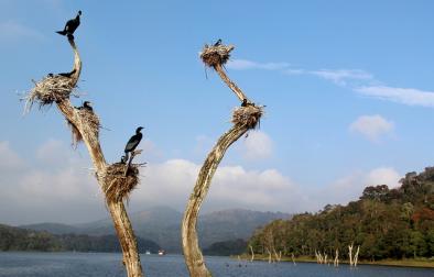  Kerala - Thekkady
