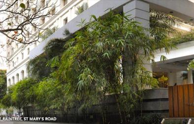 The Raintree Hotels - Chennai, India