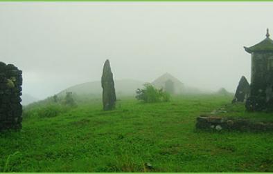Cochin - Cherai - Thattekkadu - Vagamon - Kuttikanam - Kumarakom - Cochin
