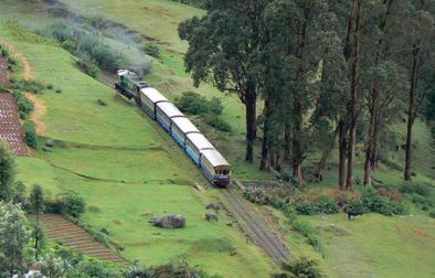 Ooty, Munnar, Cochin