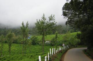 Day 03 : Munnar - Ooty (300Kms/7.5hrs drive)