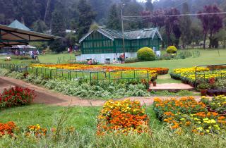Day 07 : Munnar - Ooty (300Kms/7.5hrs drive)